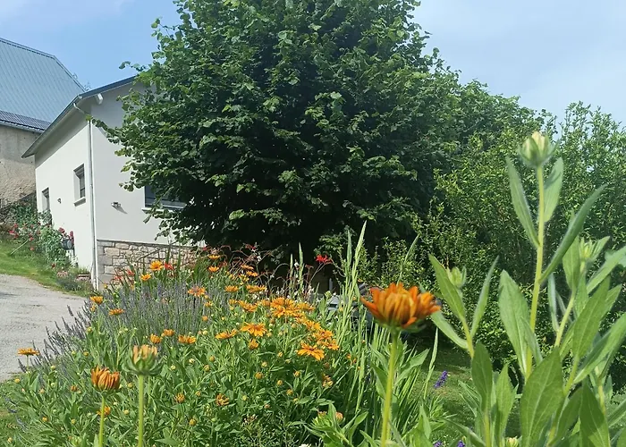 Couette-café Le Domaine De Moïse La Fouillade